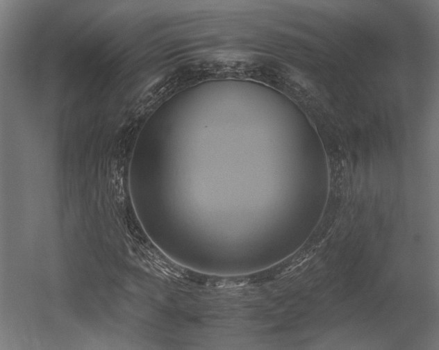 X0000052601013200507011151