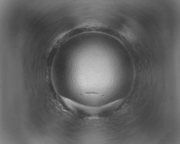 X0000052601016200507011151