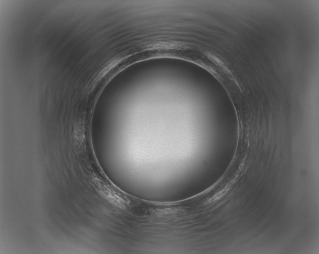 X0000052601017200507011151