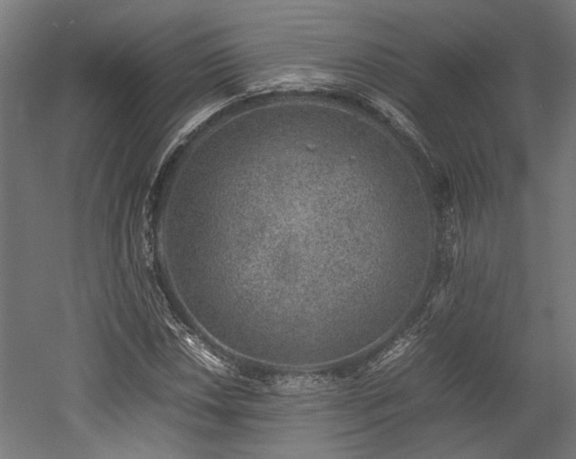 X0000052601018200507011151