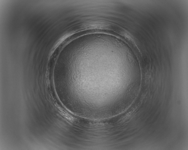 X0000052601019200507011151