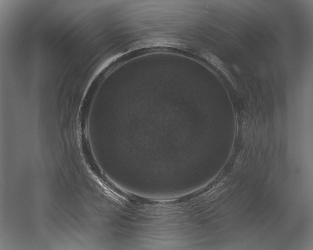 X0000052601024200507011151