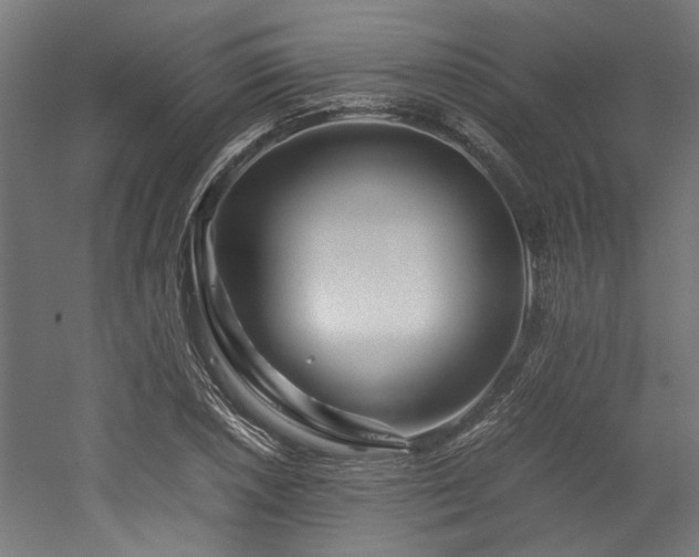 X0000052601026200507011151