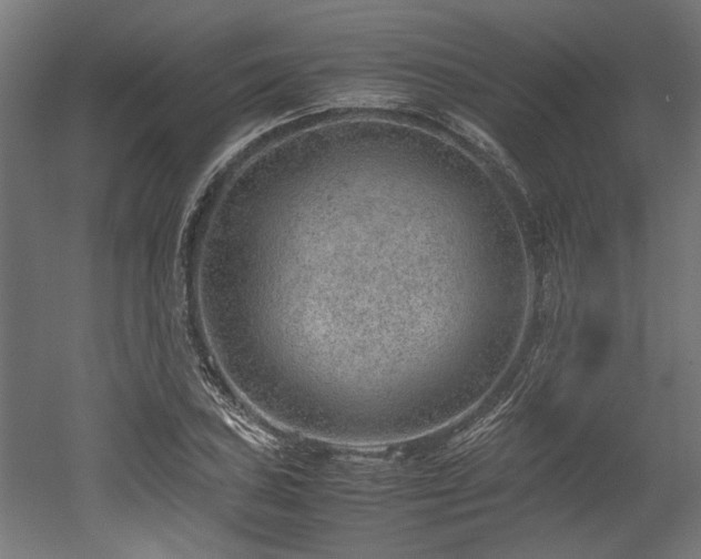 X0000052601027200507011151