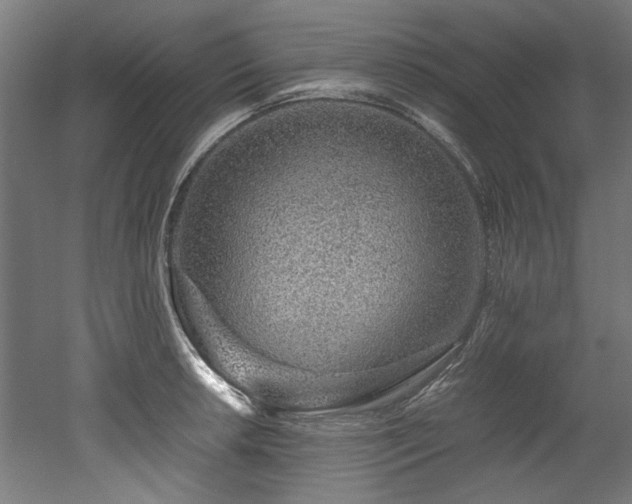 X0000052601042200507011151