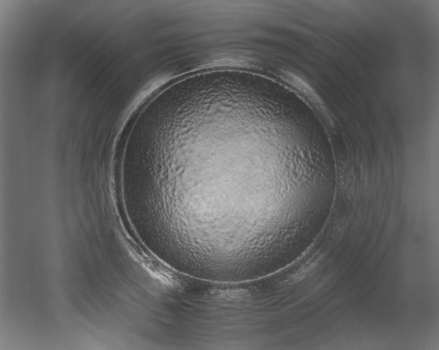 X0000052601043200507011151