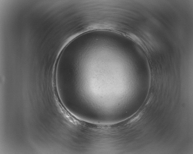 X0000052601052200507011151