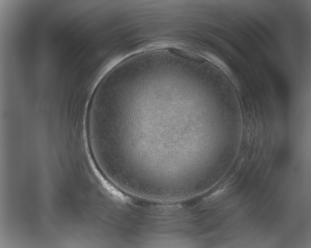 X0000052601055200507011151