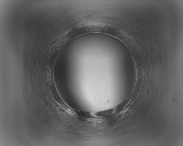 X0000052601061200507011151