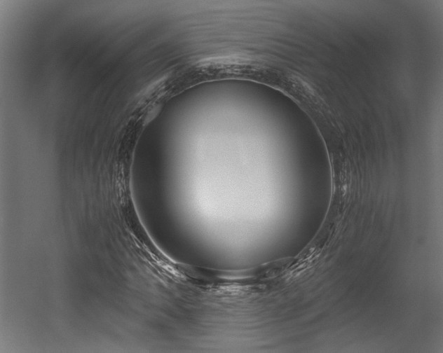 X0000052601062200507011151