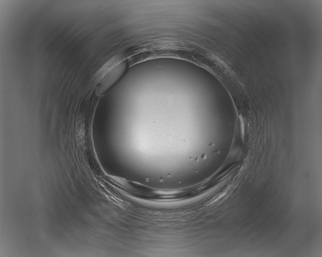X0000052601065200507011150