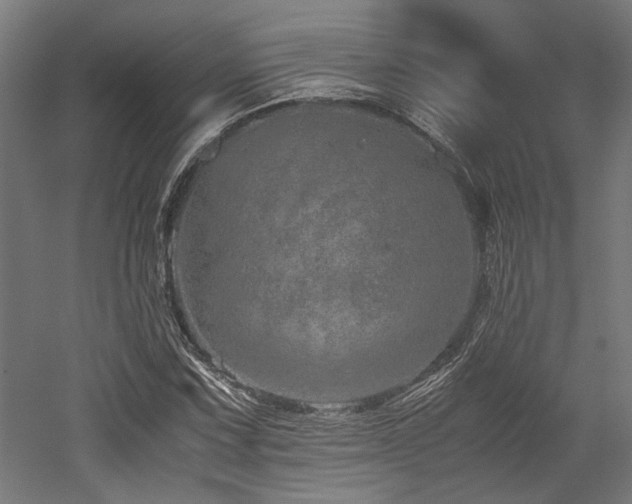 X0000052601067200507011150