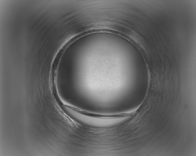 X0000052601076200507011150