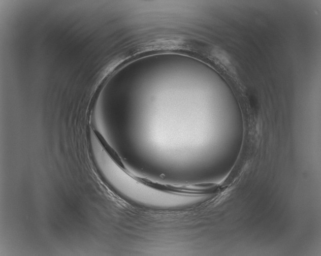 X0000052601081200507011150