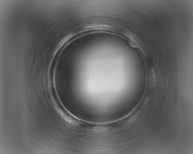 X0000052601082200507011150