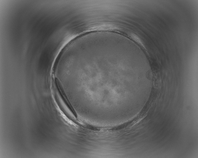 X0000052601087200507011150