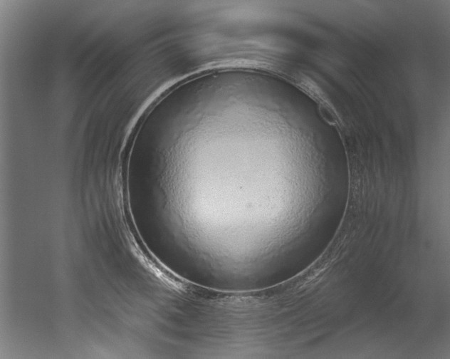 X0000052601092200507011150