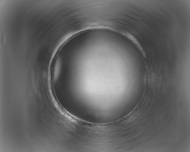 X0000052601096200507011150