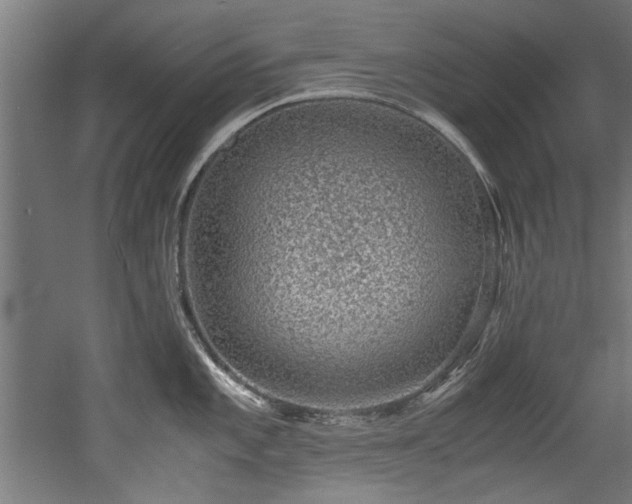 X0000052601101200507011150