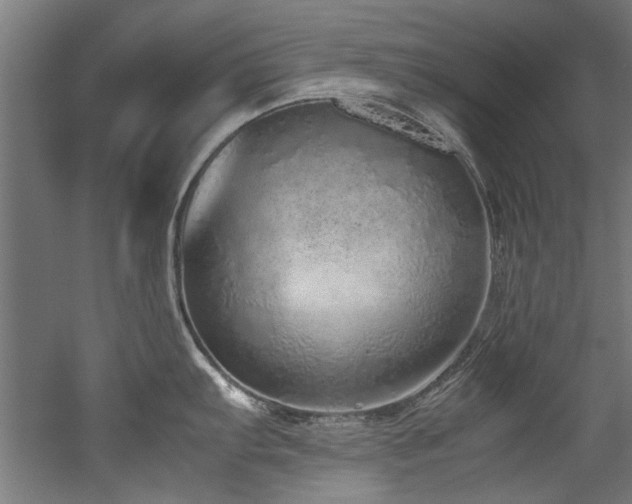 X0000052601103200507011150