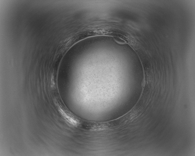 X0000052601106200507011149