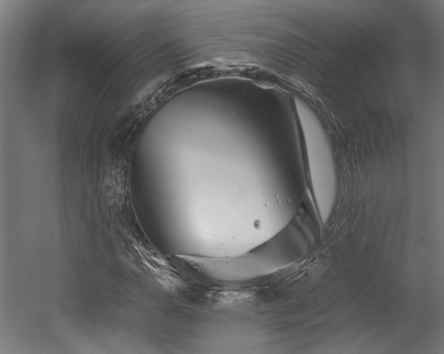 X0000052601110200507011149