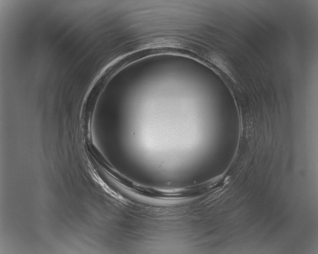 X0000052601116200507011149