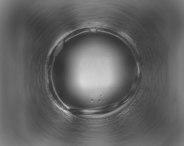 X0000052601120200507011149