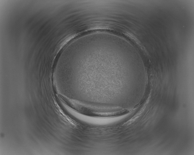 X0000052601121200507011149