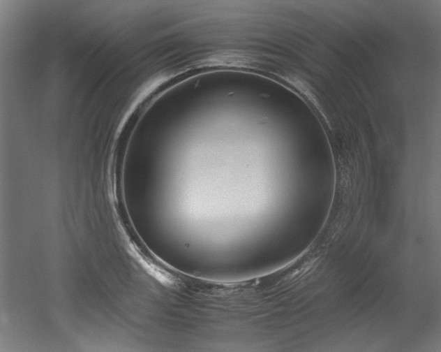 X0000052601131200507011149