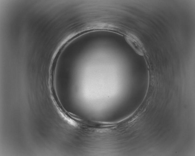 X0000052601136200507011150