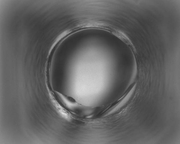 X0000052601138200507011150