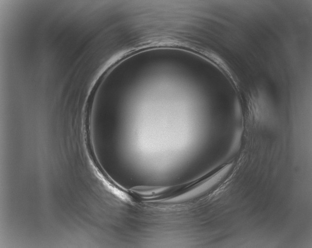 X0000052601142200507011150