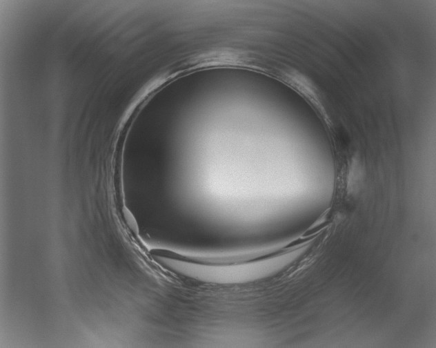 X0000052601146200507011150