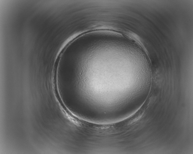 X0000052601149200507011150