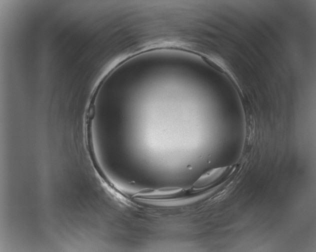 X0000052601151200507011150