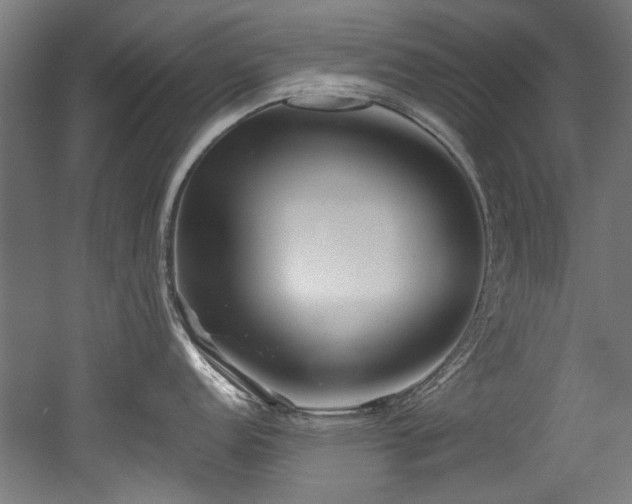 X0000052601152200507011150