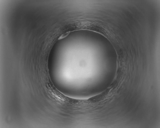 X0000052601153200507011149