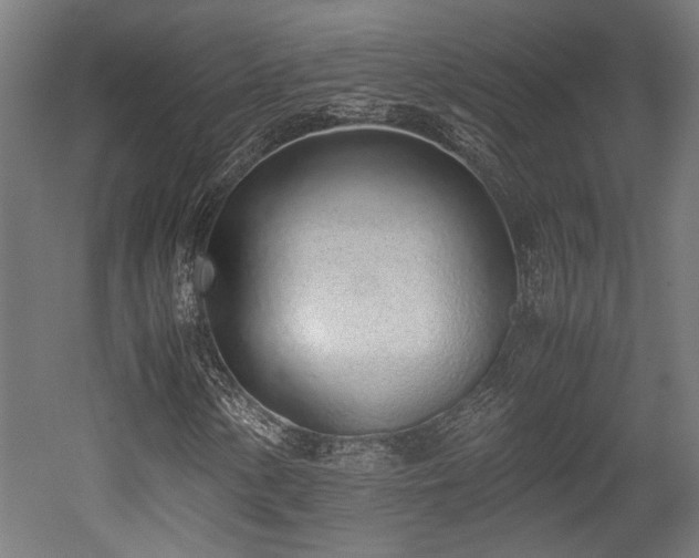 X0000052601154200507011149