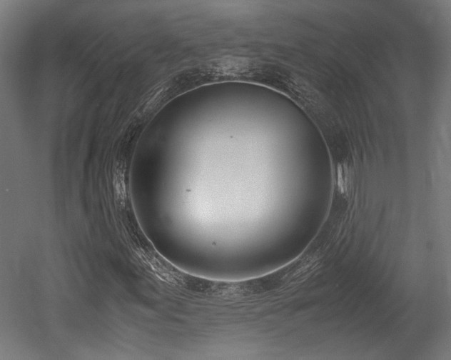 X0000052601155200507011149