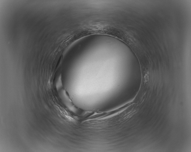X0000052601156200507011149