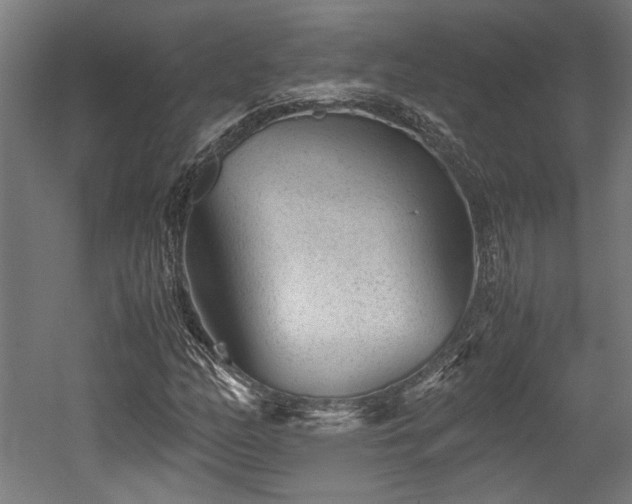 X0000052601158200507011149
