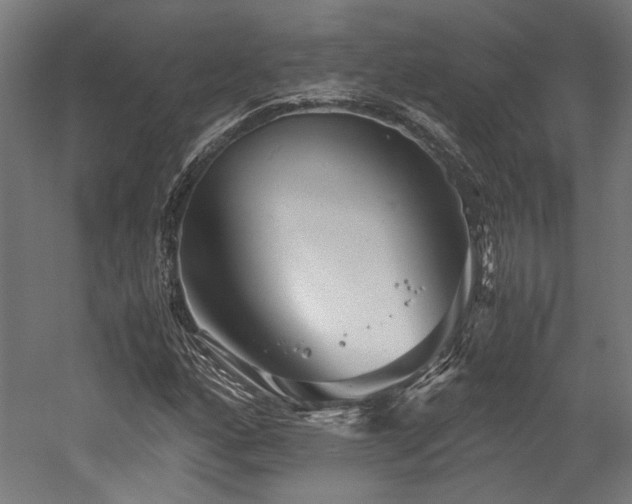 X0000052601160200507011149