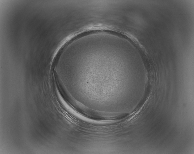 X0000052601167200507011149