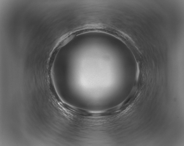 X0000052601168200507011149