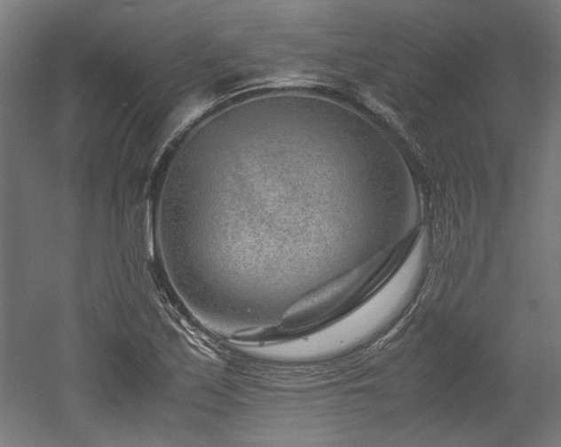 X0000052601171200507011149
