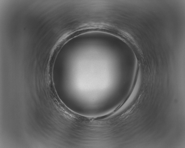 X0000052601172200507011149