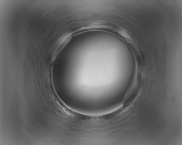 X0000052601177200507011149