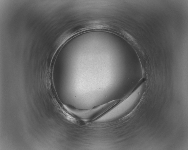 X0000052601178200507011149