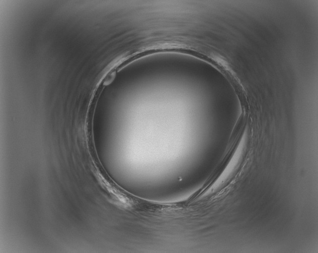 X0000052601181200507011149